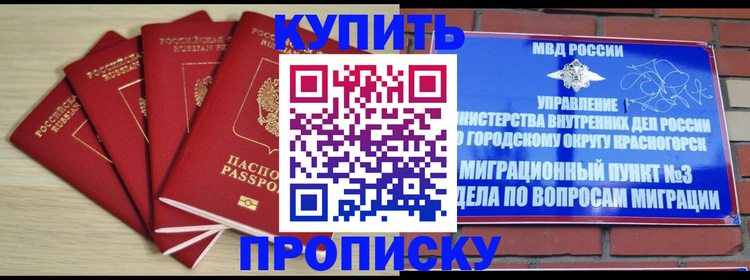 пропишу в квартире в Пскове